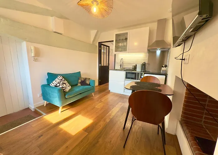 Appartement Le Bijou Des Carmes - De Gamme Climatise